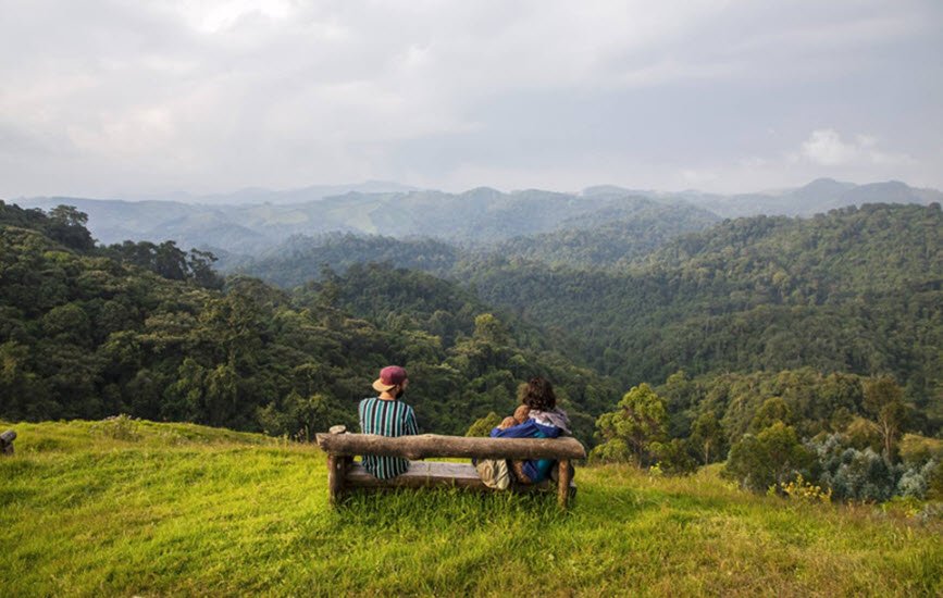 Gishwati-Mukura National Park, Rutsiro & Ngororero, Western Province, Rwanda